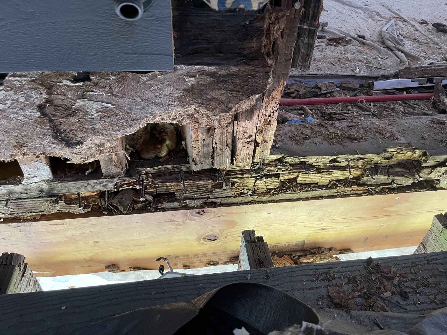 Major concealed damage uncovered during exterior repair work